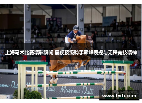 上海马术比赛精彩瞬间 展现顶级骑手巅峰表现与无畏竞技精神