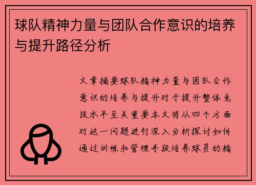 球队精神力量与团队合作意识的培养与提升路径分析